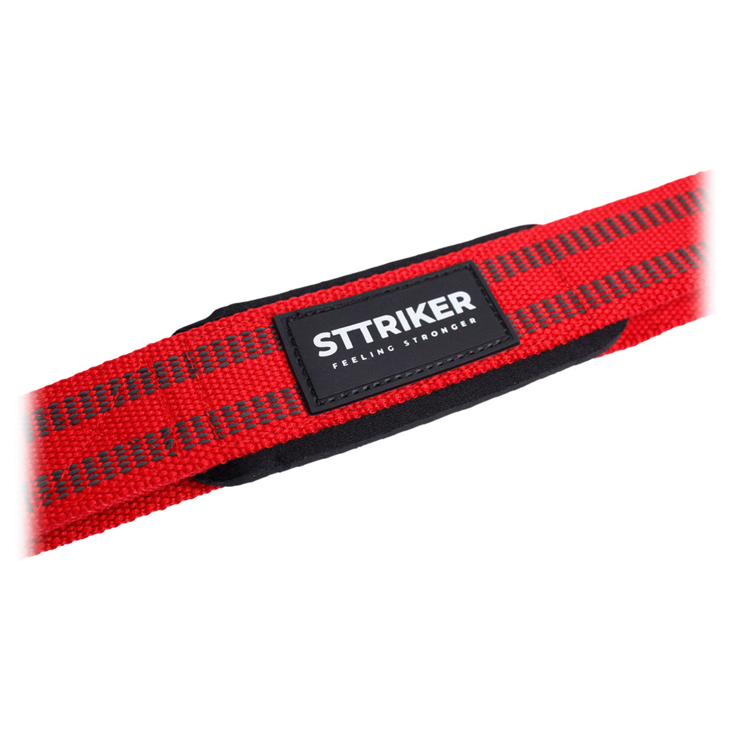 Kit X2 Straps Gym Sttriker